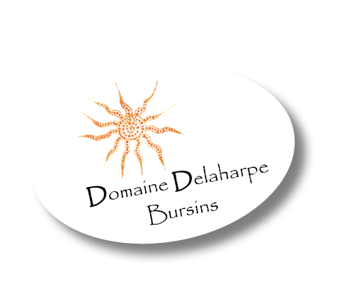 Domaine Delaharpe - Bursins